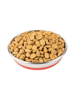 Baked Dry Food for Adult Dogs 2kg 5