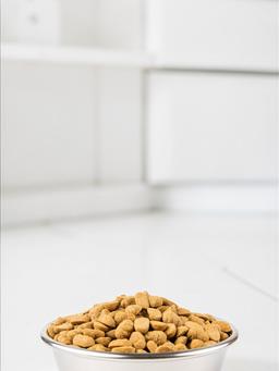 Baked Dry Food for Adult Dogs 2kg 7