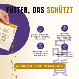 Ofengebackenes Trockenfutter für Senioren 2 kg