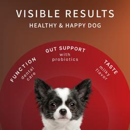 Dental Sticks für Hunde – Milch-Kaustangen mit Laktobakterien zur Vorbeugung von Zahnstein und Zahnbelag, Größe S, 80 g