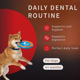 Dental Sticks für Hunde – Milch-Kaustangen mit Laktobakterien zur Vorbeugung von Zahnstein und Zahnbelag, Größe S, 80 g