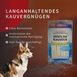 Dental Sticks für Hunde – Milch-Kaustangen mit Laktobakterien zur Vorbeugung von Zahnstein und Zahnbelag, Größe S, 80 g