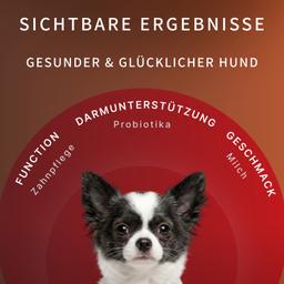 Dental Sticks für Hunde – Milch-Kaustangen mit Laktobakterien zur Vorbeugung von Zahnstein und Zahnbelag, Größe S, 80 g