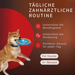 Dental Sticks für Hunde – Milch-Kaustangen mit Laktobakterien zur Vorbeugung von Zahnstein und Zahnbelag, Größe S, 80 g