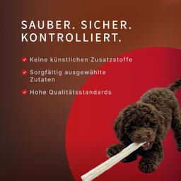 Dental Sticks für Hunde – Milch-Kaustangen mit Laktobakterien zur Vorbeugung von Zahnstein und Zahnbelag, Größe S, 80 g