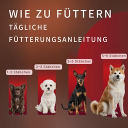 Dental Sticks für Hunde – Milch-Kaustangen mit Laktobakterien zur Vorbeugung von Zahnstein und Zahnbelag, Größe S, 80 g