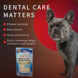 Dental Sticks für Hunde – Milch-Kaustangen mit Laktobakterien zur Vorbeugung von Zahnstein und Zahnbelag, Größe M, 80 g