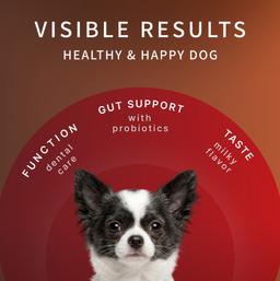 Dental Sticks für Hunde – Milch-Kaustangen mit Laktobakterien zur Vorbeugung von Zahnstein und Zahnbelag, Größe M, 80 g
