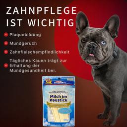 Dental Sticks für Hunde – Milch-Kaustangen mit Laktobakterien zur Vorbeugung von Zahnstein und Zahnbelag, Größe M, 80 g