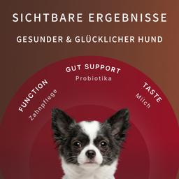 Dental Sticks für Hunde – Milch-Kaustangen mit Laktobakterien zur Vorbeugung von Zahnstein und Zahnbelag, Größe M, 80 g
