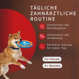 Dental Sticks für Hunde – Milch-Kaustangen mit Laktobakterien zur Vorbeugung von Zahnstein und Zahnbelag, Größe M, 80 g