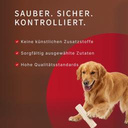 Dental Sticks für Hunde – Milch-Kaustangen mit Laktobakterien zur Vorbeugung von Zahnstein und Zahnbelag, Größe M, 80 g