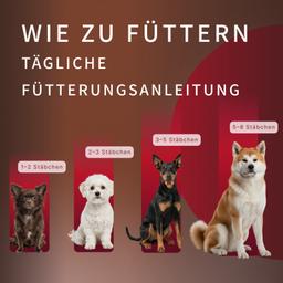 Dental Sticks für Hunde – Milch-Kaustangen mit Laktobakterien zur Vorbeugung von Zahnstein und Zahnbelag, Größe M, 80 g