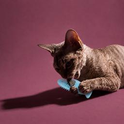 Giocattolo per gatti, peluche Matatabi per la pulizia dei denti a forma di pesce 3D 11