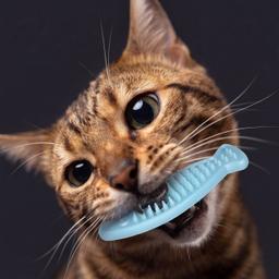 Giocattolo per gatti, peluche Matatabi per la pulizia dei denti a forma di pesce 3D 14