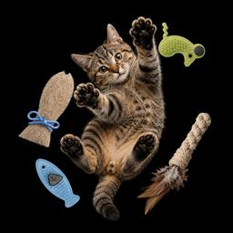 Giocattolo per gatti, peluche Matatabi per la pulizia dei denti a forma di pesce 3D 17