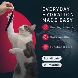 "Momento di Felicità" Alimento umido per gatti – Tonno e pollo con bonito, alimento premium in busta per gatti sterilizzati, senza cereali, 68 g 7