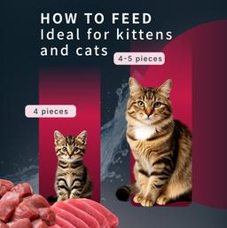 Complete Cat Cream Mousse - Beef 9
