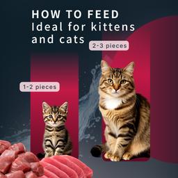 Mousse cremosa para gatos – Pato y atún (Maguro), alimento húmedo funcional para apoyar las vías urinarias, de fácil digestión, apto para gatitos y gatos adultos, 55 g 9