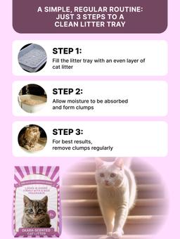 Clumping Tofu Cat Litter with Peach Scent 6 L 4