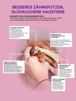 Brosse à Dents anatomique pour enlever la plaque. Pour les chiens de races moyennes et grandes, rigide 4