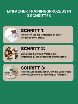 Toilette Trainingsmatten für Hunde (mittel), 48 Stück. 5