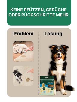 Toilette Trainingsmatten für Hunde (mittel), 48 Stück. 6