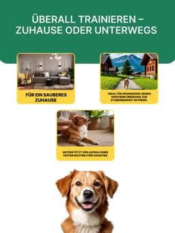 Mittel zum Beibringen der Hunde zur Toilette in Spray Joy pet, 100 ml 3