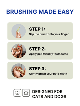 Anatomical Toothbrush to remove plaque. For dogs of small breeds, hard 3