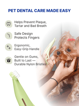 Anatomical Toothbrush to remove plaque. For dogs of small breeds, hard 5