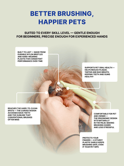 Anatomical Toothbrush to remove plaque. For dogs of small breeds, hard 8