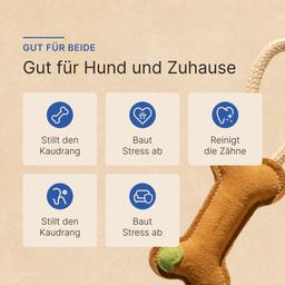 Super Leder Knochen Spielzeug für Hunde 6