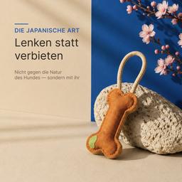 Super Leder Knochen Spielzeug für Hunde 8