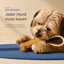 Super Leder Knochen Spielzeug für Hunde 10