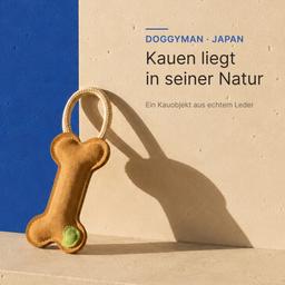 Super Leder Knochen Spielzeug für Hunde 11