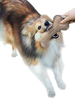 Super leather bone toy for dogs 3