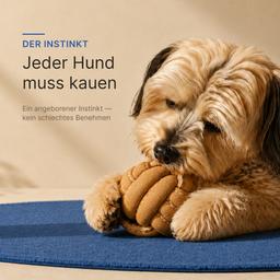 Hundespielzeug, Super-Leder-Beißer in Form eines Balls, Nagetier für Hunde, Kauspielzeug 7