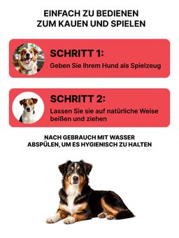 Dehnbare Leine für Hunde aus Naturlatex und Baumwolle mit zusätzlicher Funktion zum Zähneputzen. Kurz 2
