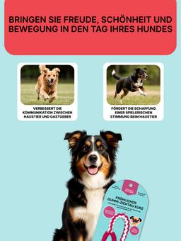 Dehnbare Leine für Hunde aus Naturlatex und Baumwolle mit zusätzlicher Funktion zum Zähneputzen. Kurz 3