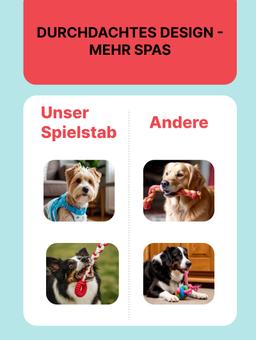 Dehnbare Leine für Hunde aus Naturlatex und Baumwolle mit zusätzlicher Funktion zum Zähneputzen. Kurz 5