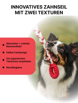 Dehnbare Leine für Hunde aus Naturlatex und Baumwolle mit zusätzlicher Funktion zum Zähneputzen. Kurz 6
