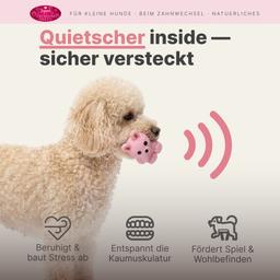 Hasenförmiges Hundespielzeug mit Quietschen, Latex 5