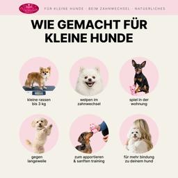Hasenförmiges Hundespielzeug mit Quietschen, Latex 6