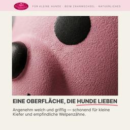 Hasenförmiges Hundespielzeug mit Quietschen, Latex 7