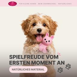 Hasenförmiges Hundespielzeug mit Quietschen, Latex 8