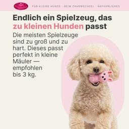 Hasenförmiges Hundespielzeug mit Quietschen, Latex 9