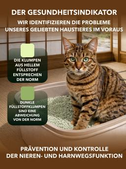 Grüne Erbsen Bambusextrakt Japanischer Tee. Pelletierte Katzenstreu, klumpt und spült in die Toilette. 6 L 3
