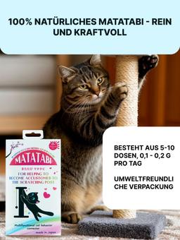 Matabi um das Interesse zu steigern Spielzeuge, 1g 4