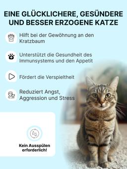Matabi um das Interesse zu steigern Spielzeuge, 1g 6
