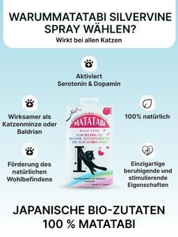 Matabi um das Interesse zu steigern Spielzeuge, 1g 7